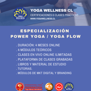 Especialización power yoga/ yoga flow 2024