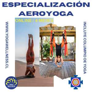 ESPECIALIZACION AERO YOGA WELLNESS 4 meses online