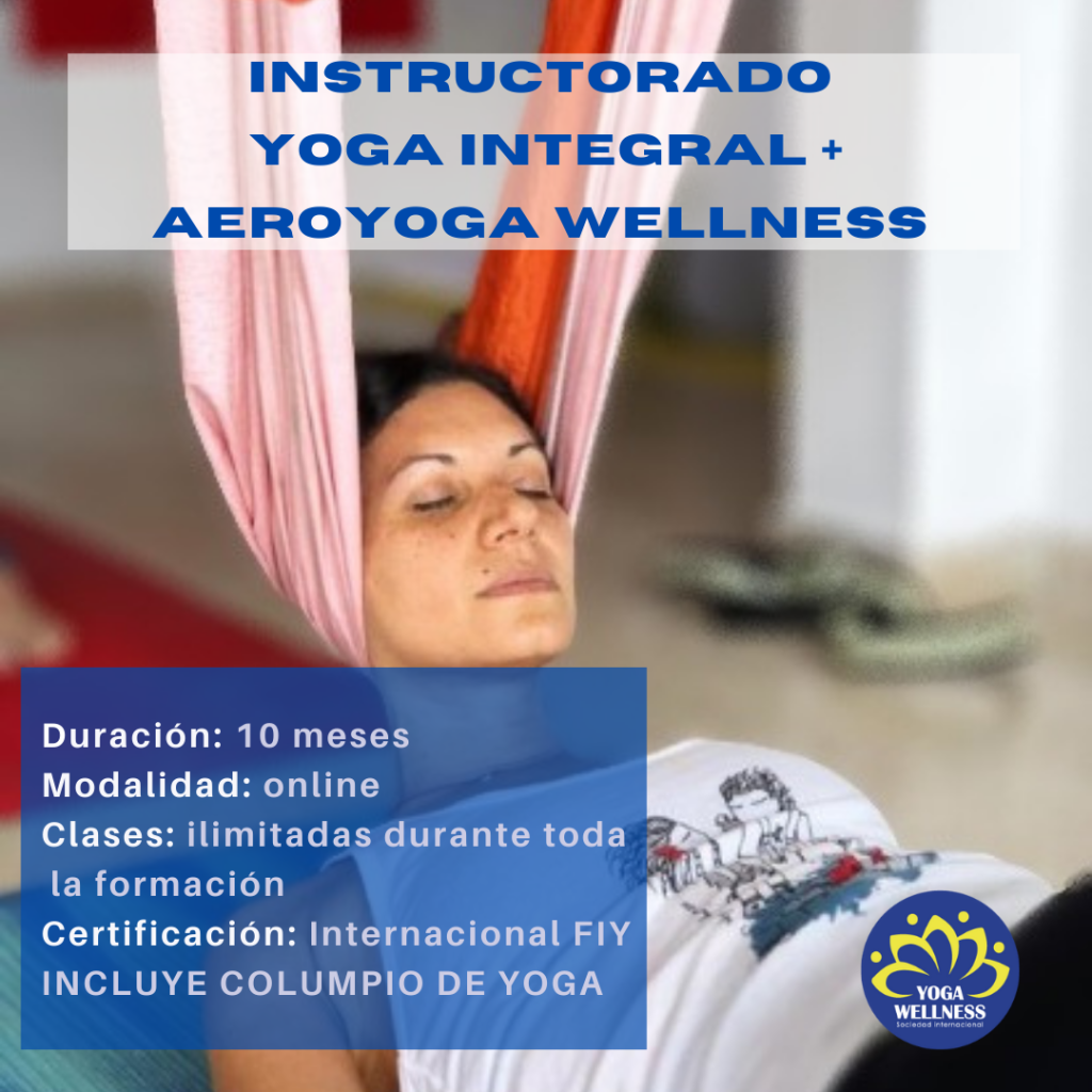 Formacion de Yoga integral y Aero Yoga Wellness